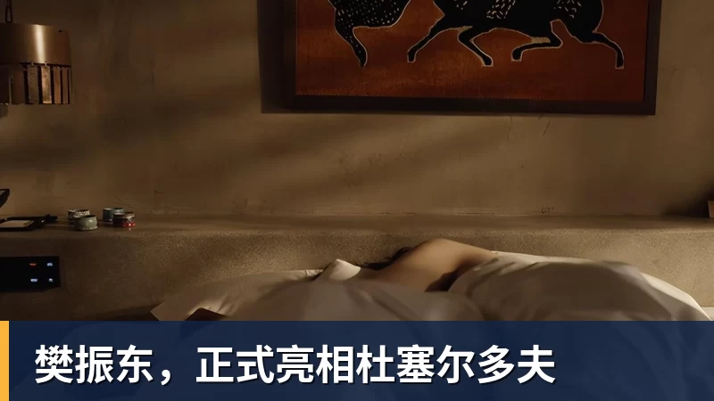 开云下注樊振东，正式亮相杜塞尔多夫