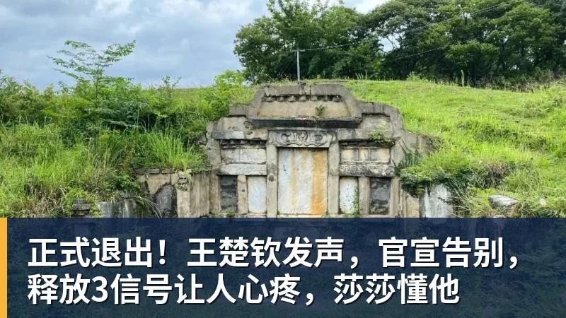 开云下注正式退出！王楚钦发声，官宣告别，释放3信号让人心疼，莎莎懂他