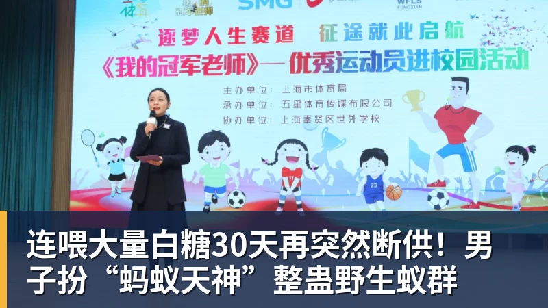 开云下注连喂大量白糖30天再突然断供！男子扮“蚂蚁天神”整蛊野生蚁群